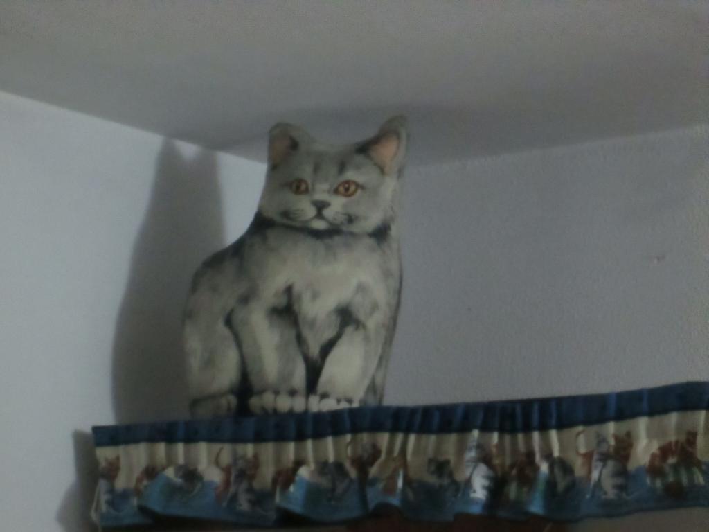 Cat'S House Apartment Lido di Ostia Bilik gambar